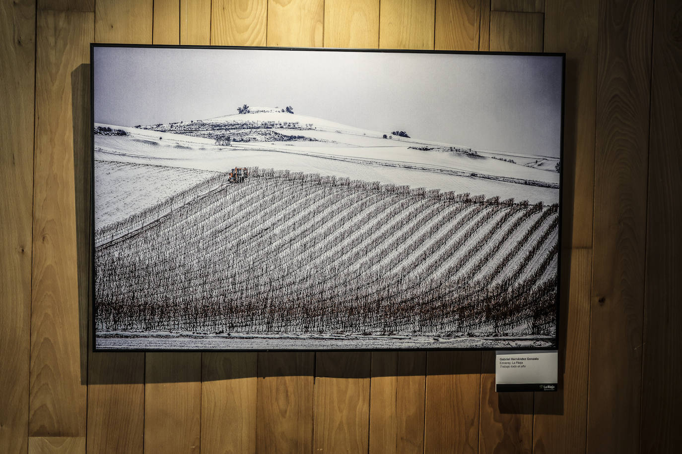 &#039;El Rioja y los 5 sentidos&#039;, los premiados