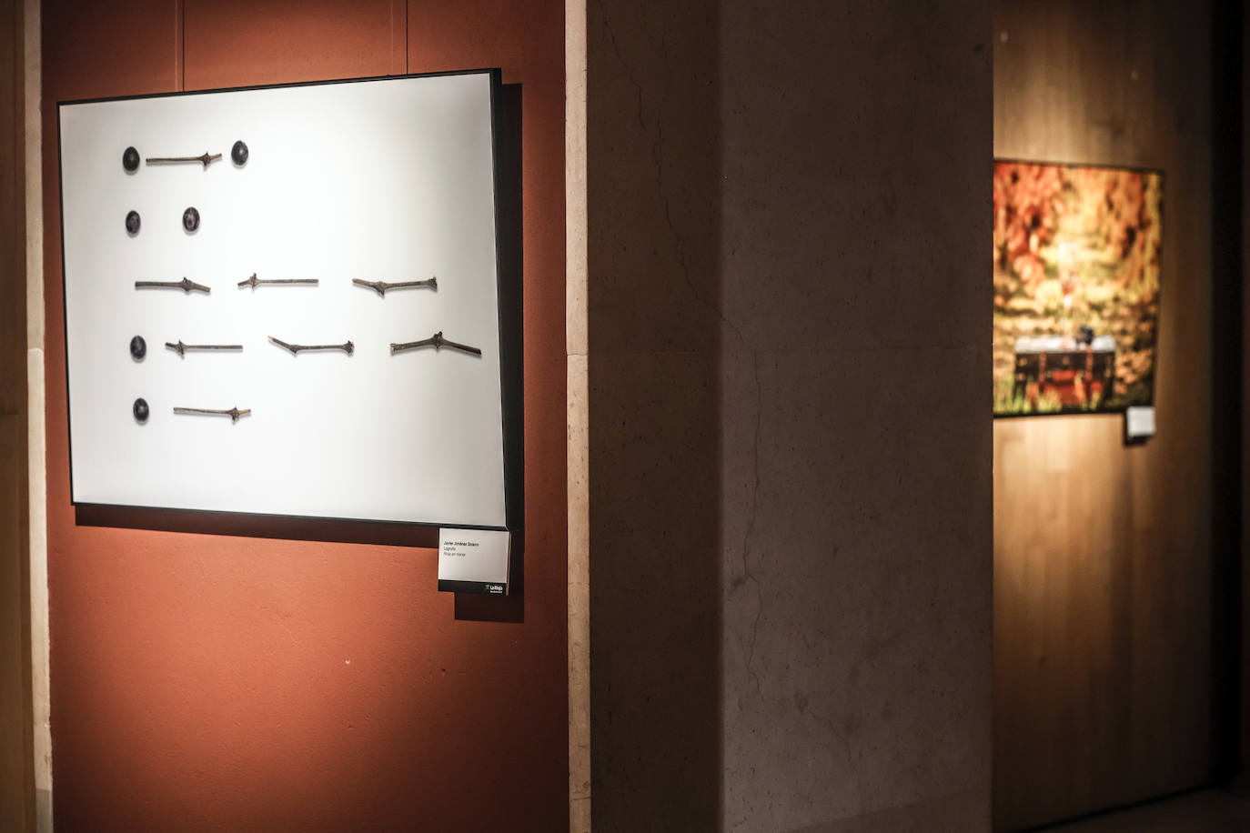 &#039;El Rioja y los 5 sentidos&#039;, los premiados