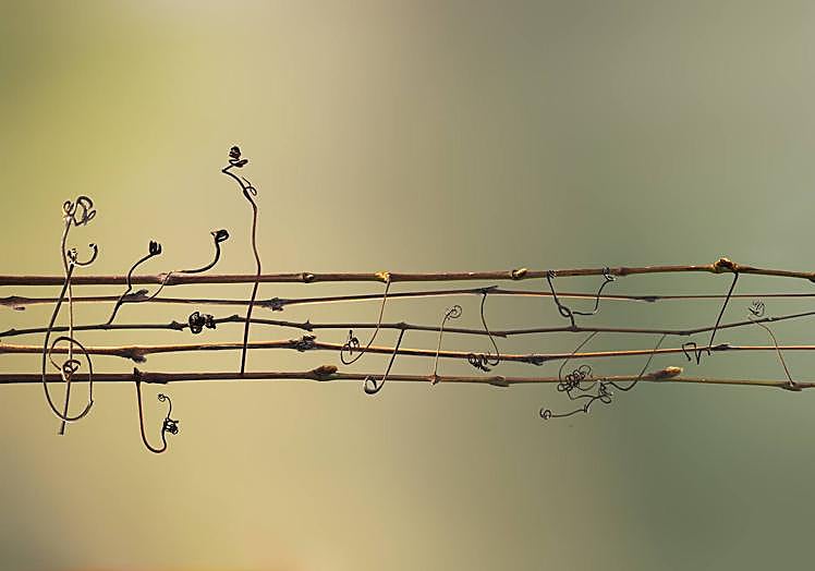 «Sinfonía de zarzillos», el segundo premio