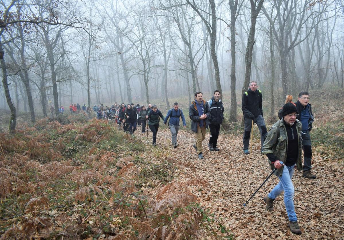 Senderistas en la niebla y bajo el sol en la Sierra de Moncalvillo