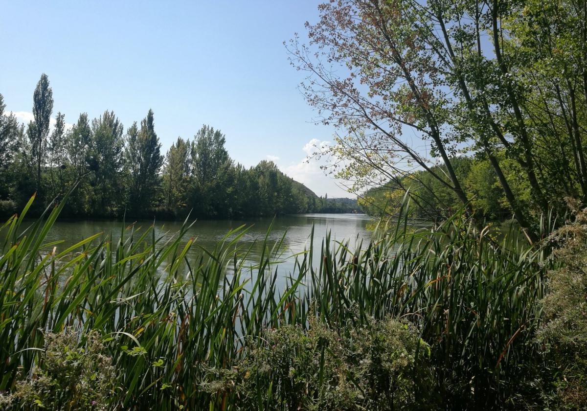 El regalo del Ebro y el Tirón a Haro