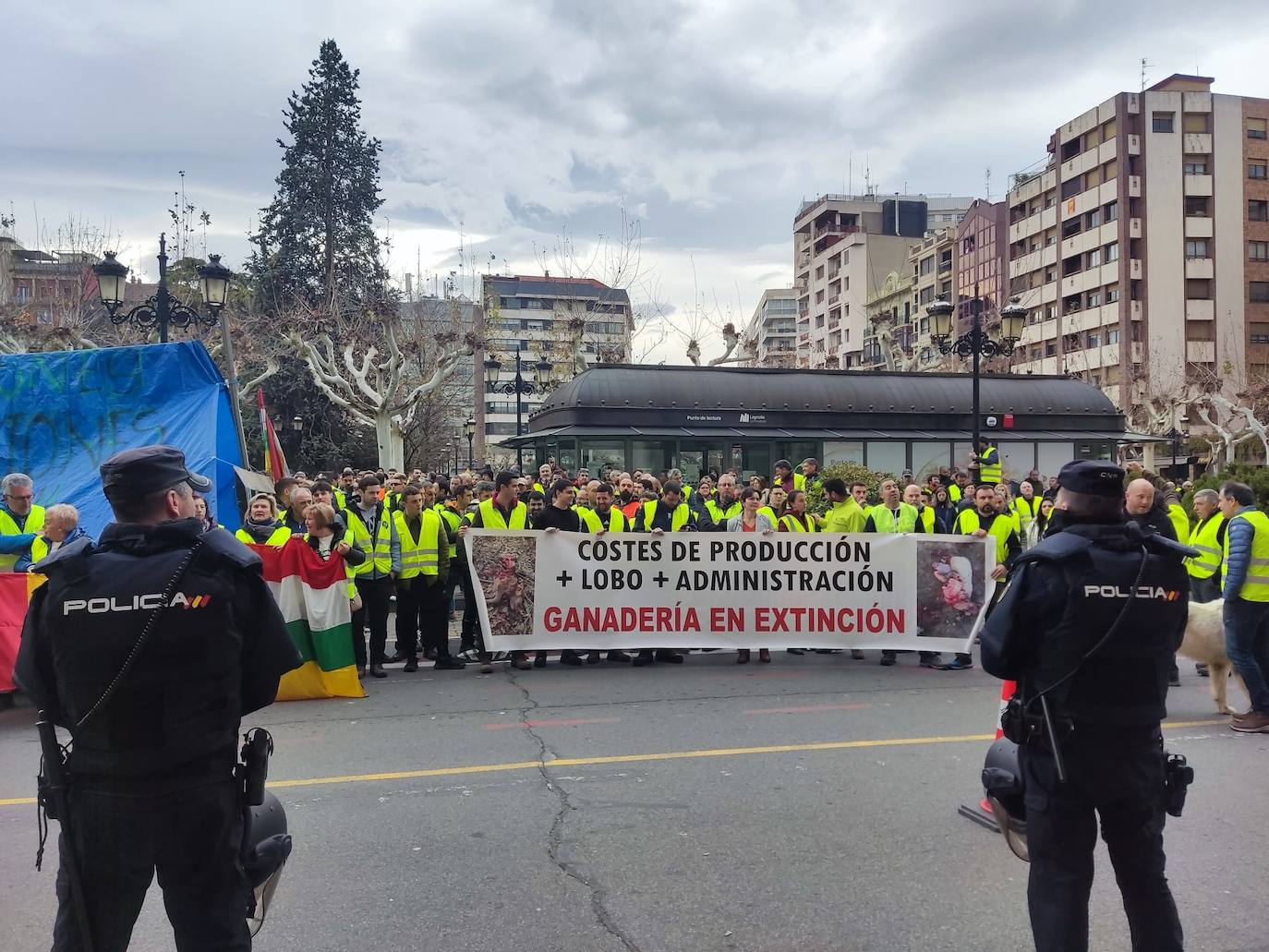 Las imágenes de la protesta en Logroño