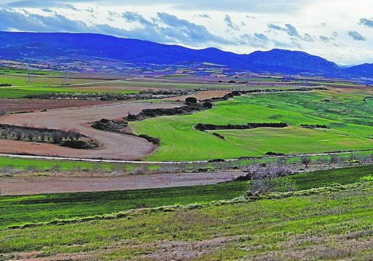 Panorámica del terreno entre Ventas Blancas y Galilea en el que se ha proyectado el parque eólico.