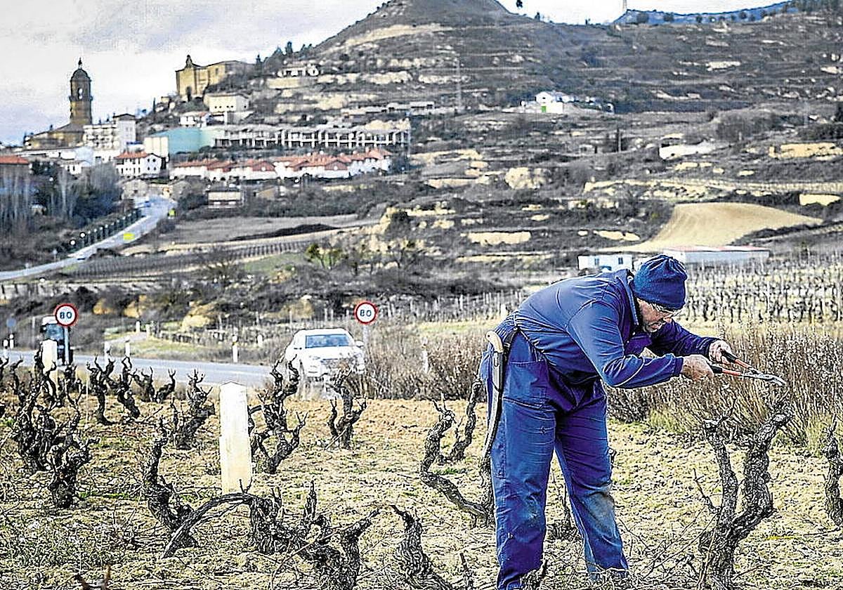 Podando y no protestando