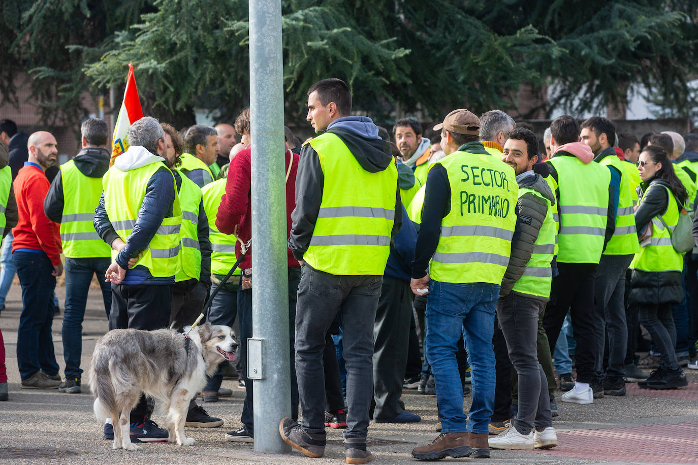 La protesta de los &#039;chalecos amarillos&#039; de este jueves, en imágenes (II)