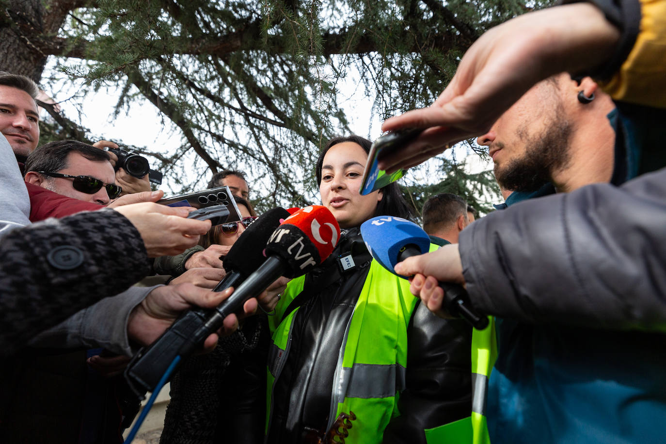 La protesta de los &#039;chalecos amarillos&#039; de este jueves, en imágenes (II)