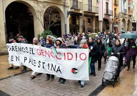 La manifestación reunió este domingo a unas doscientas personas en Logroño.