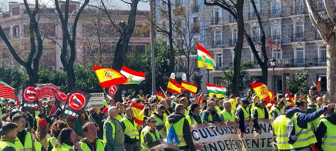 Los agricultores riojanos se manifiestan en Madrid