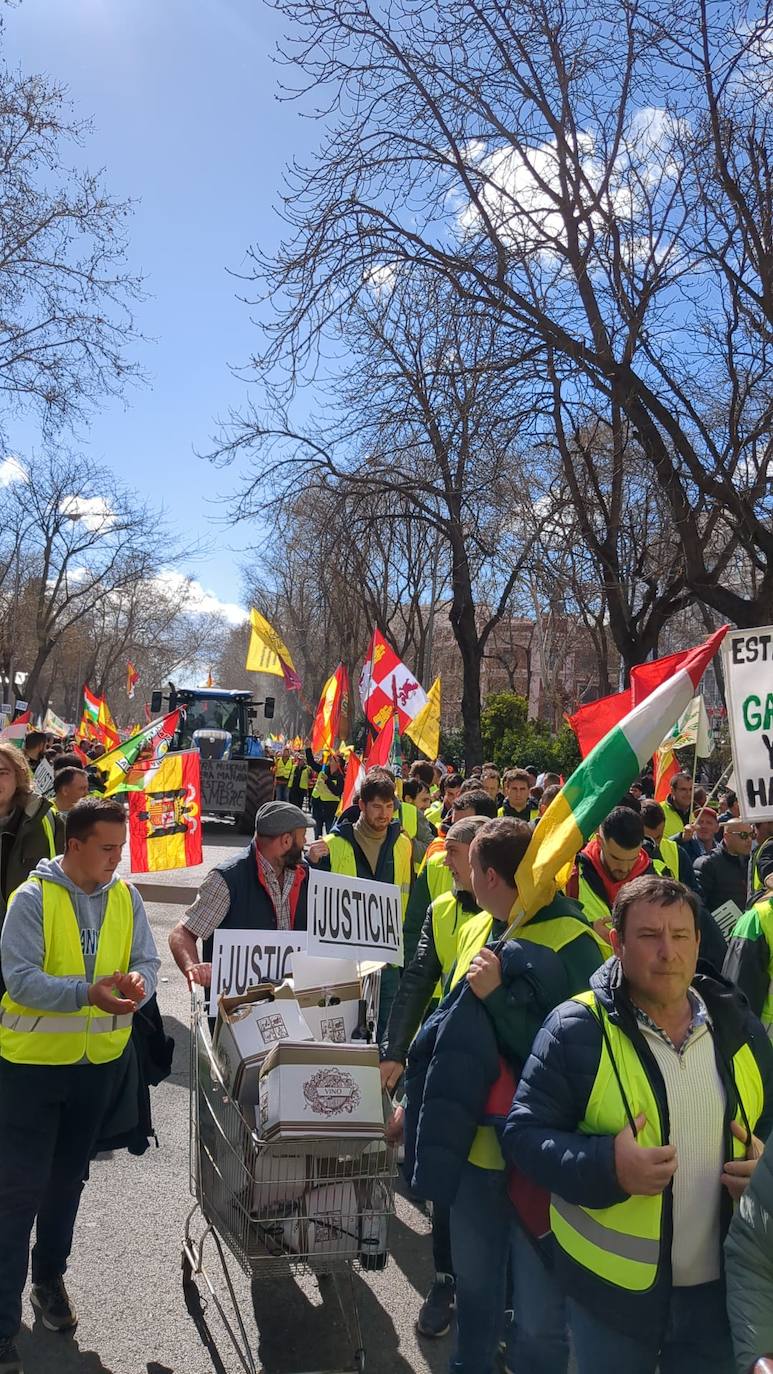 Los agricultores riojanos se manifiestan en Madrid