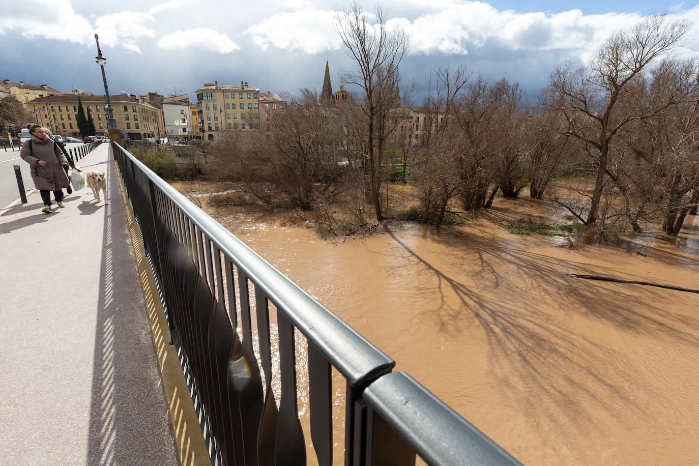 La crecida del Ebro en Logroño, en imágenes