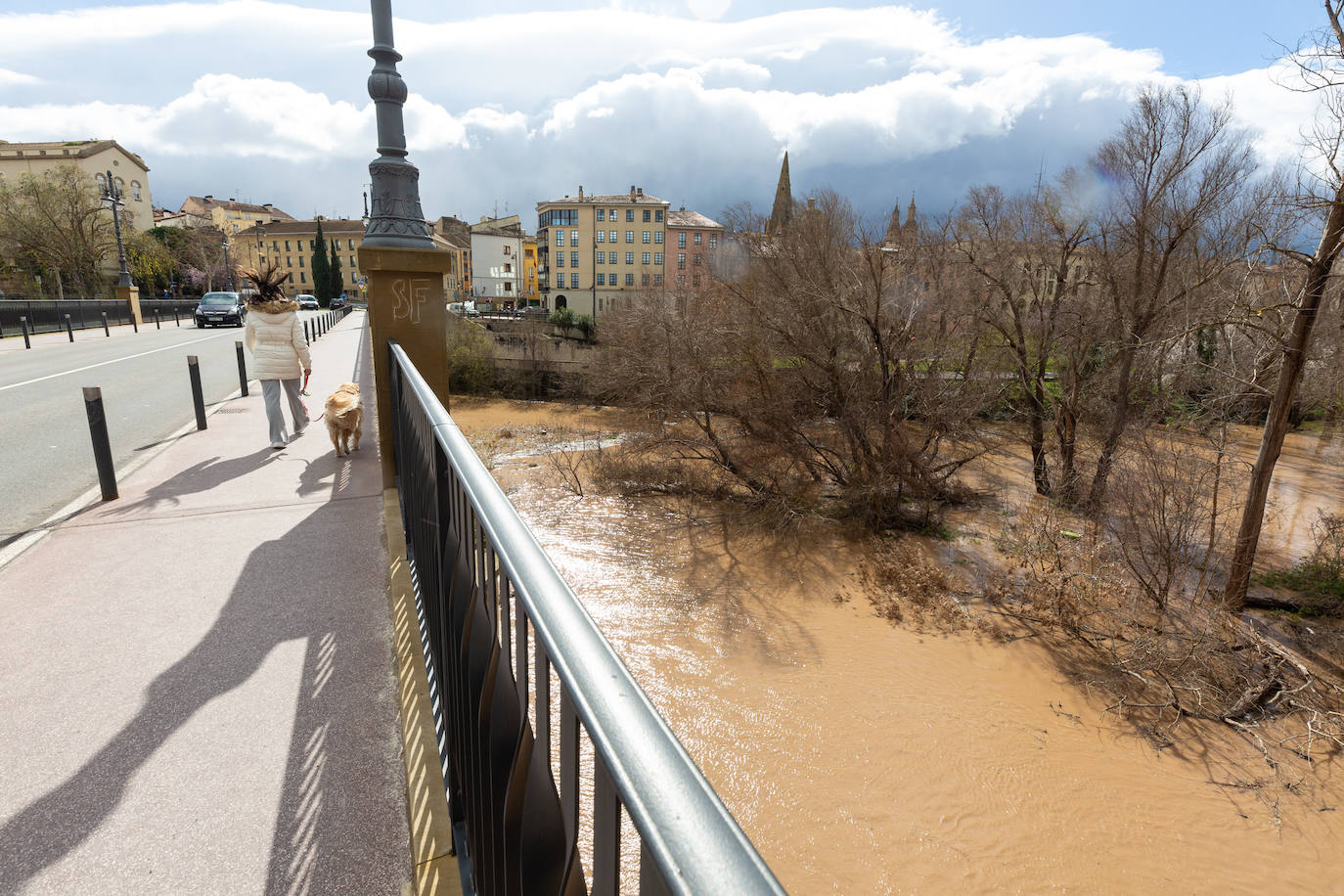 La crecida del Ebro en Logroño, en imágenes