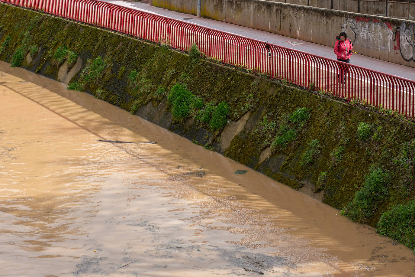 La crecida del Ebro en Logroño, en imágenes