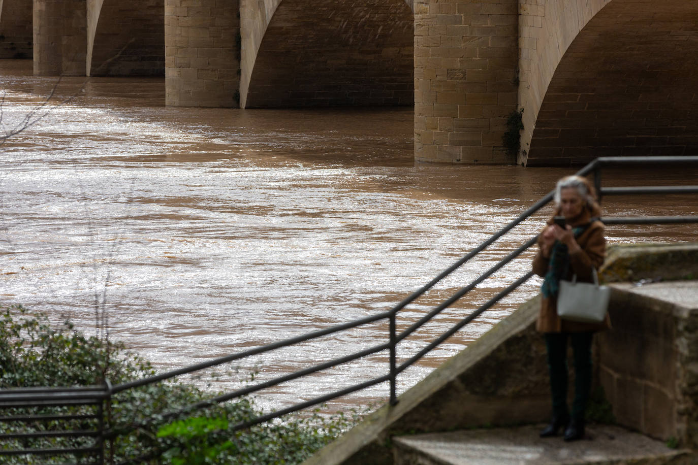 La crecida del Ebro en Logroño, en imágenes