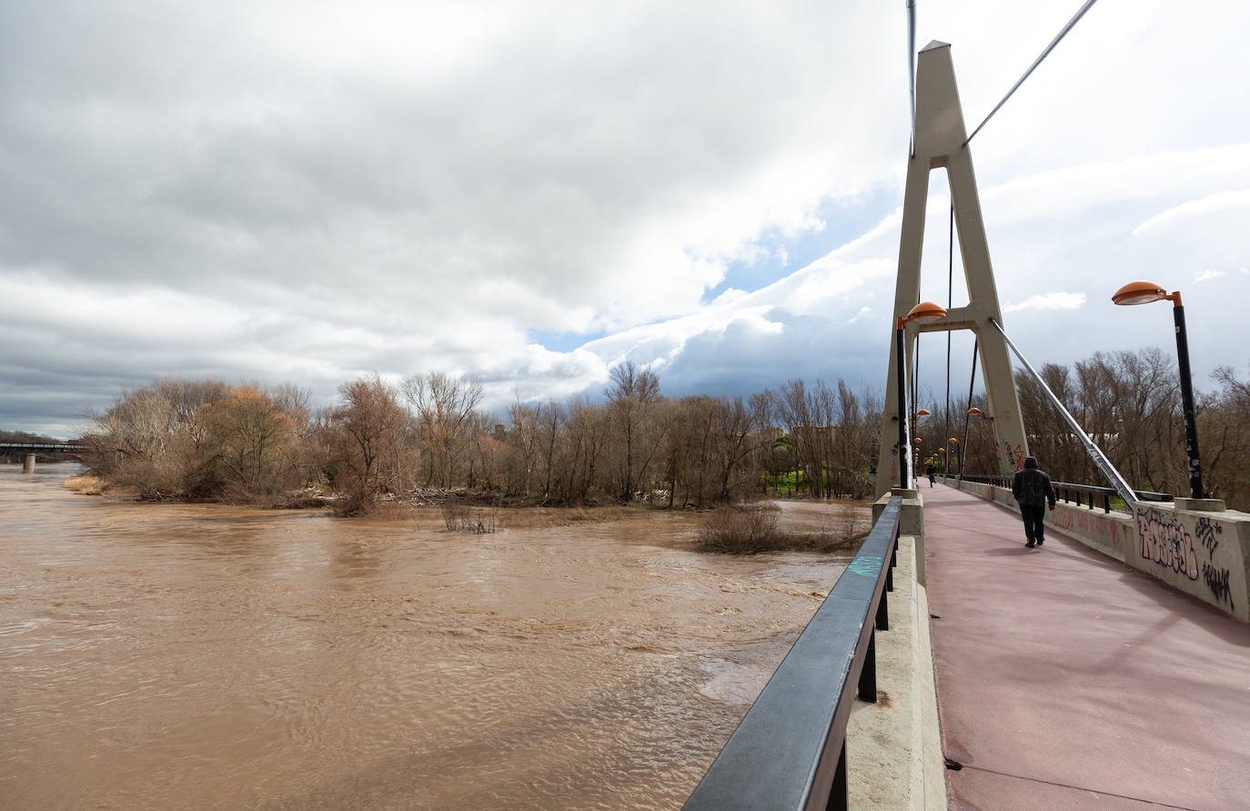 La crecida del Ebro en Logroño, en imágenes