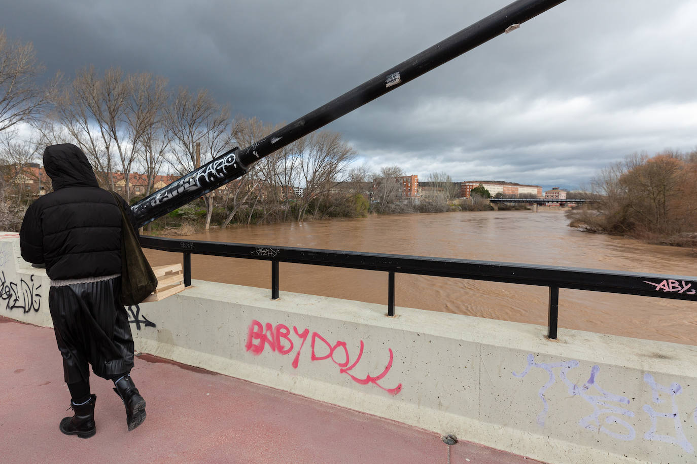 La crecida del Ebro en Logroño, en imágenes