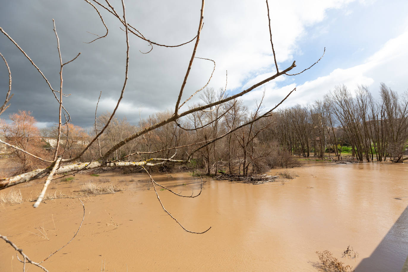 La crecida del Ebro en Logroño, en imágenes