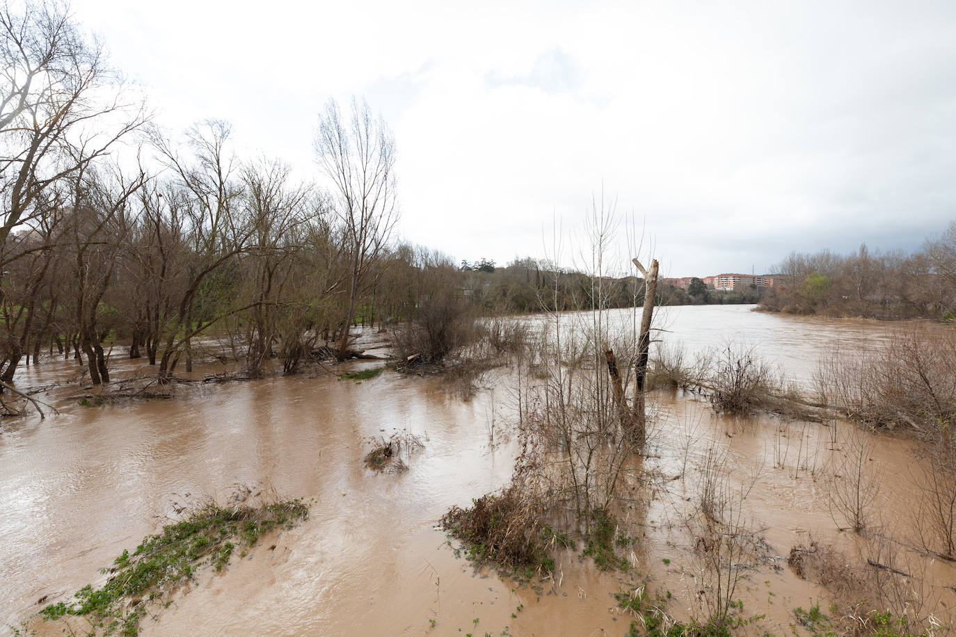 La crecida del Ebro en Logroño, en imágenes