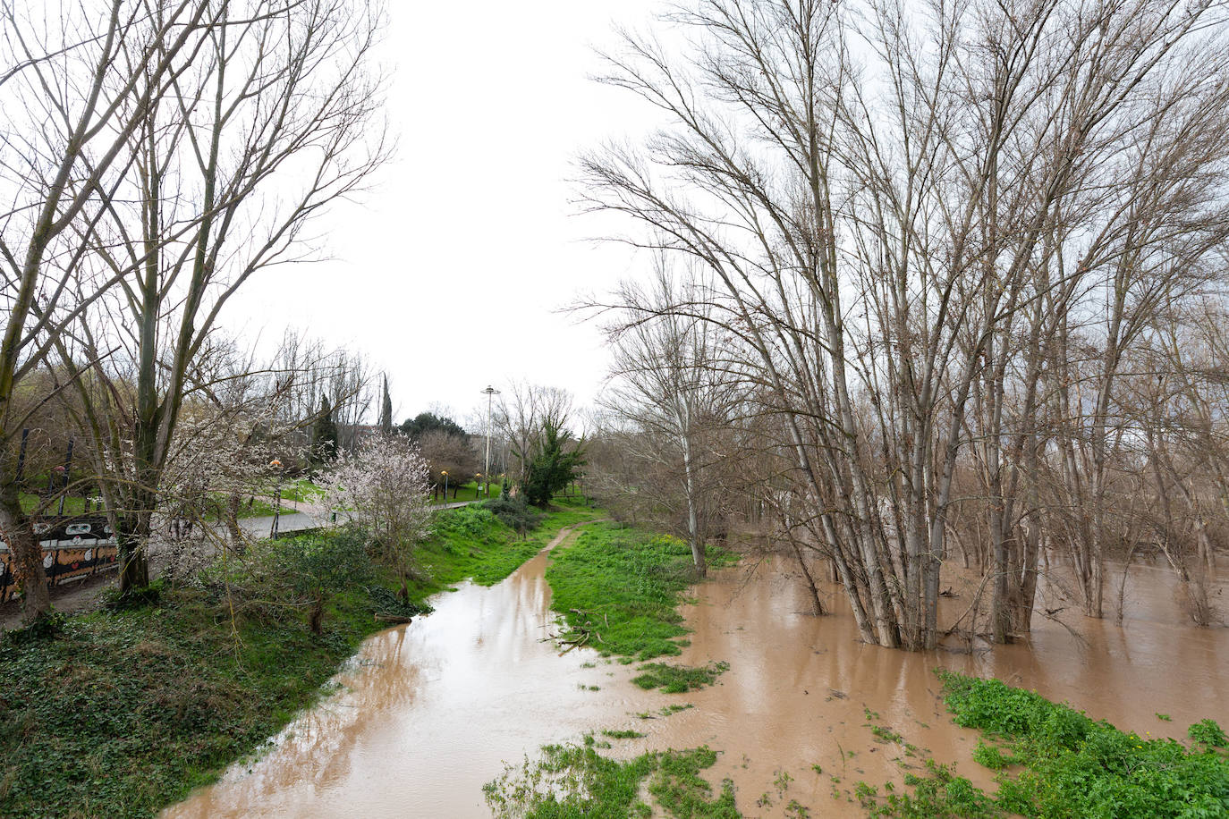 La crecida del Ebro en Logroño, en imágenes