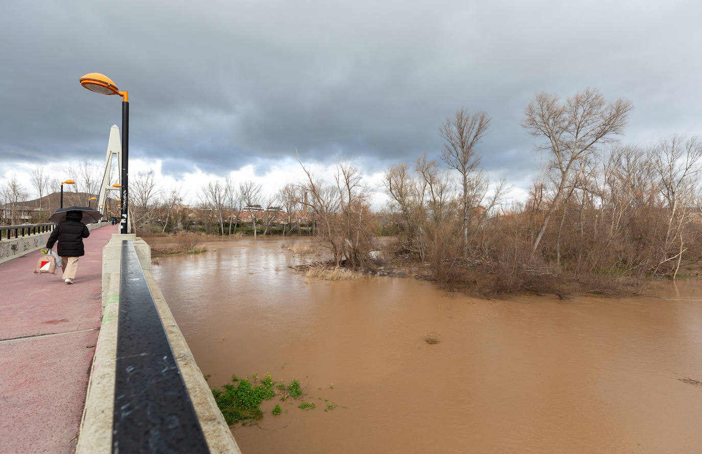 La crecida del Ebro en Logroño, en imágenes