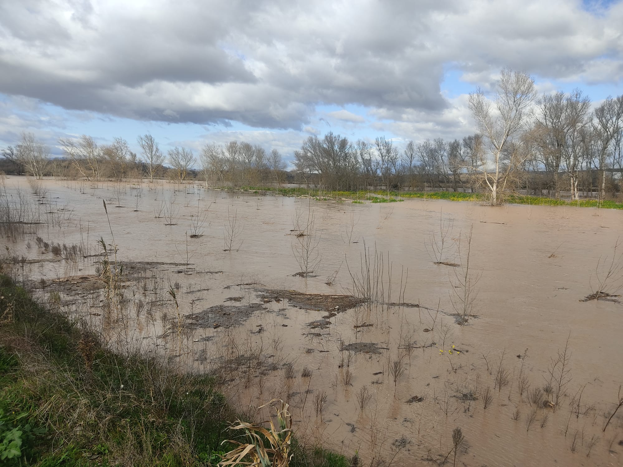 Crecida del Ebro a su paso por Alfaro