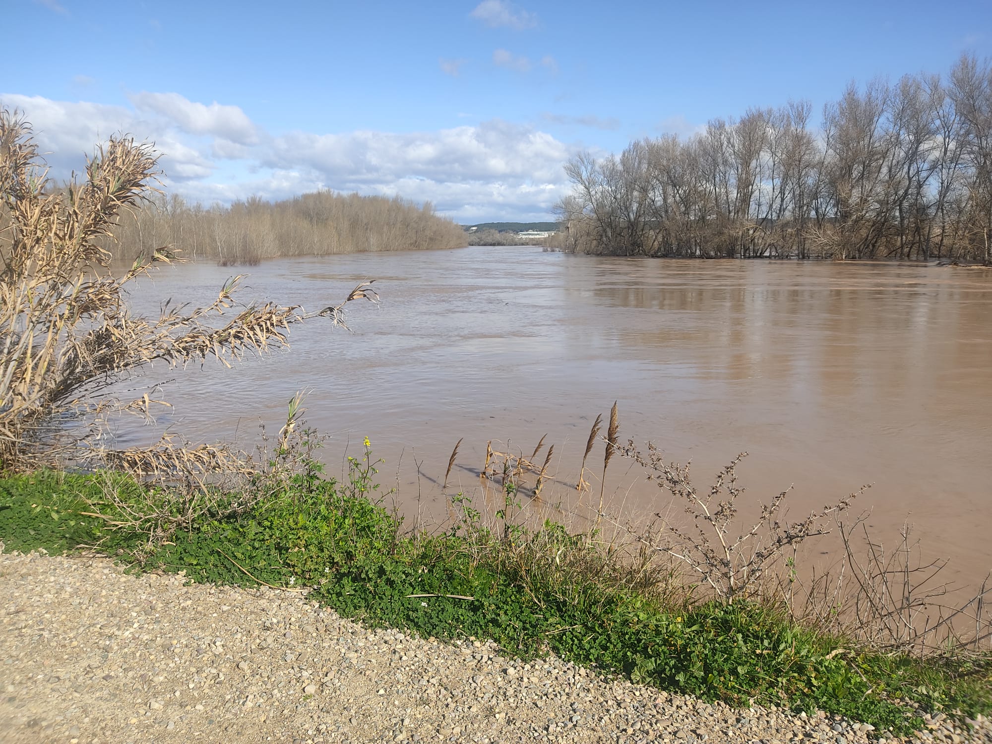 Crecida del Ebro a su paso por Alfaro