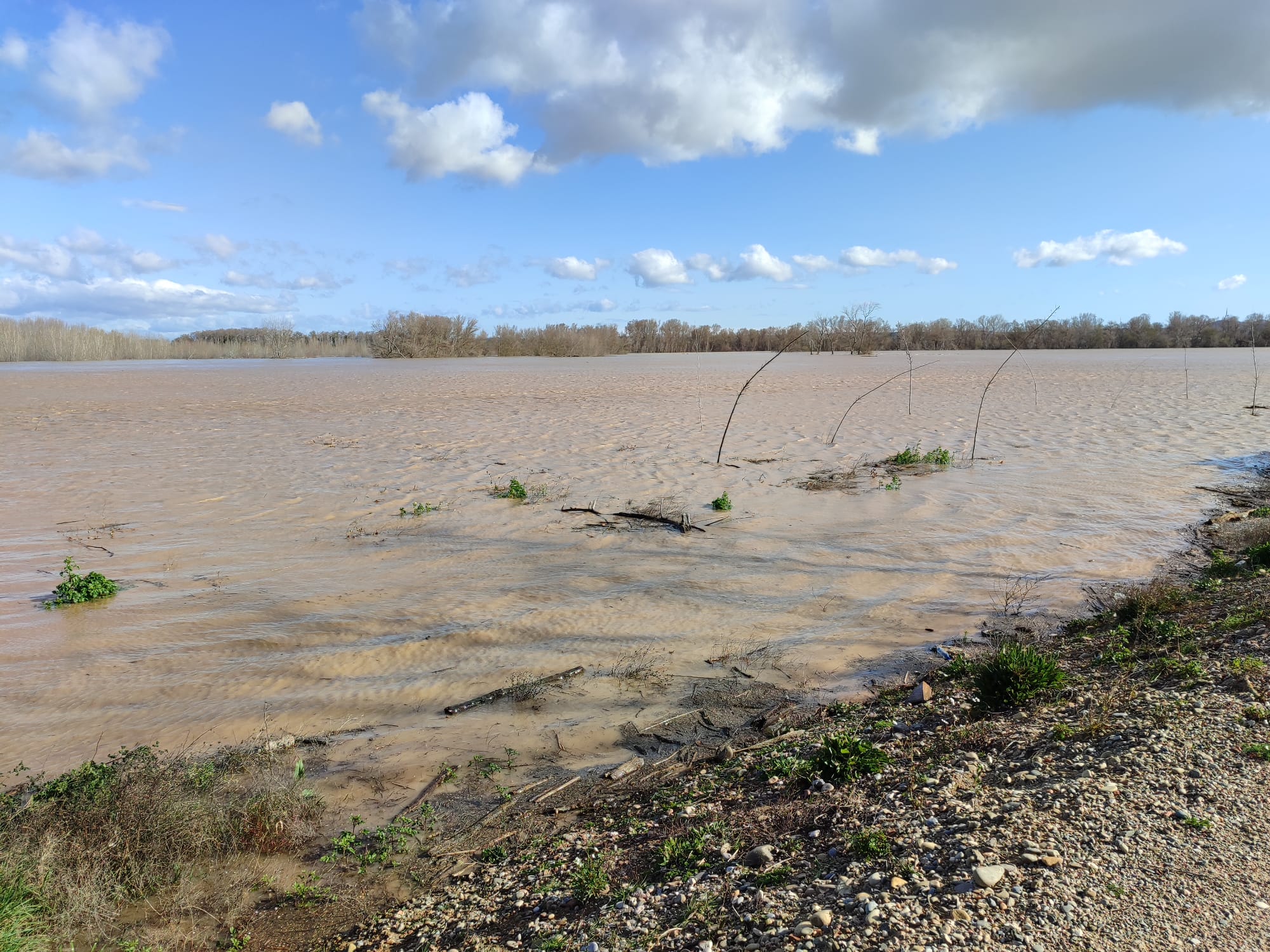 Crecida del Ebro a su paso por Alfaro