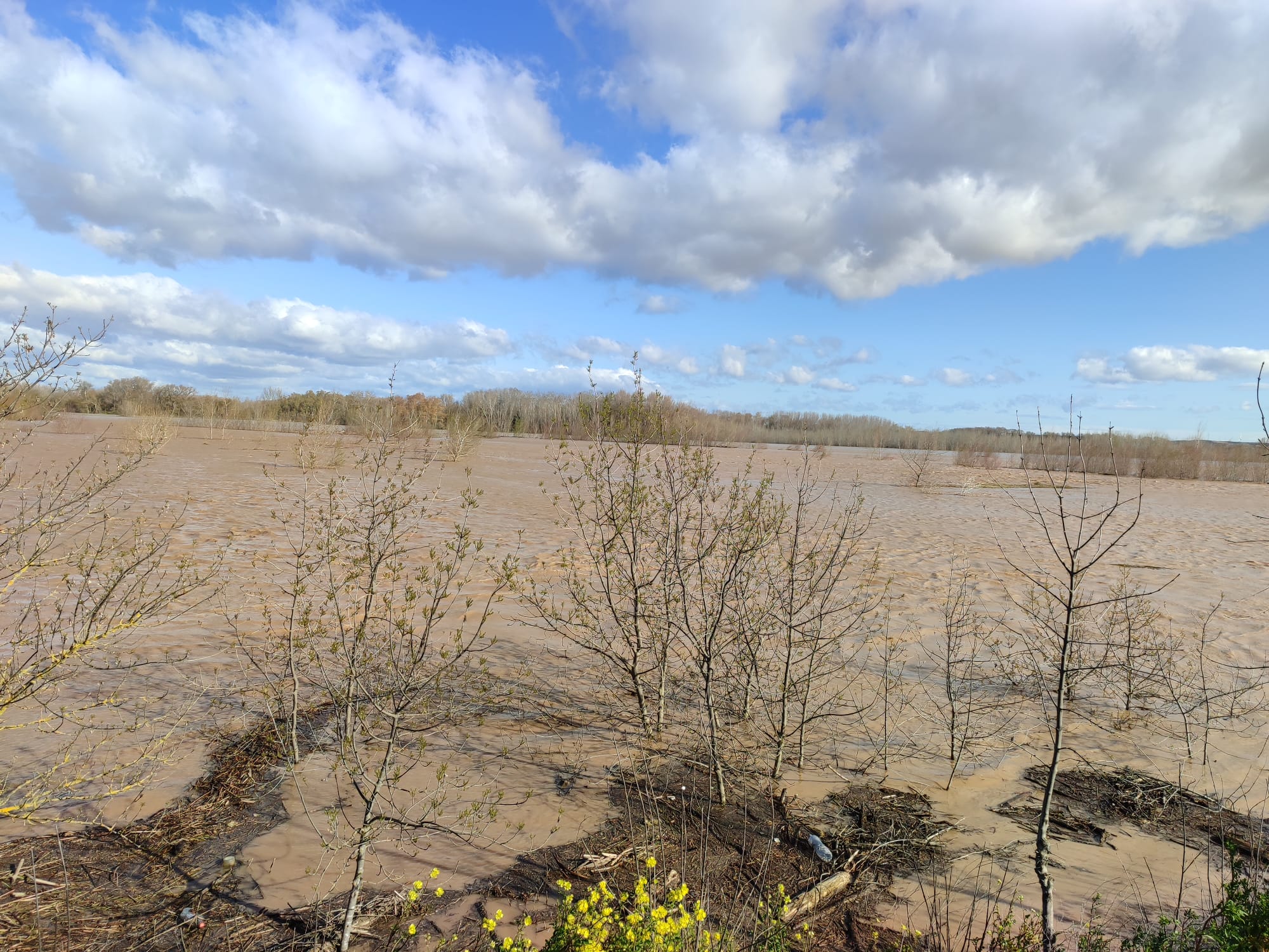 Crecida del Ebro a su paso por Alfaro