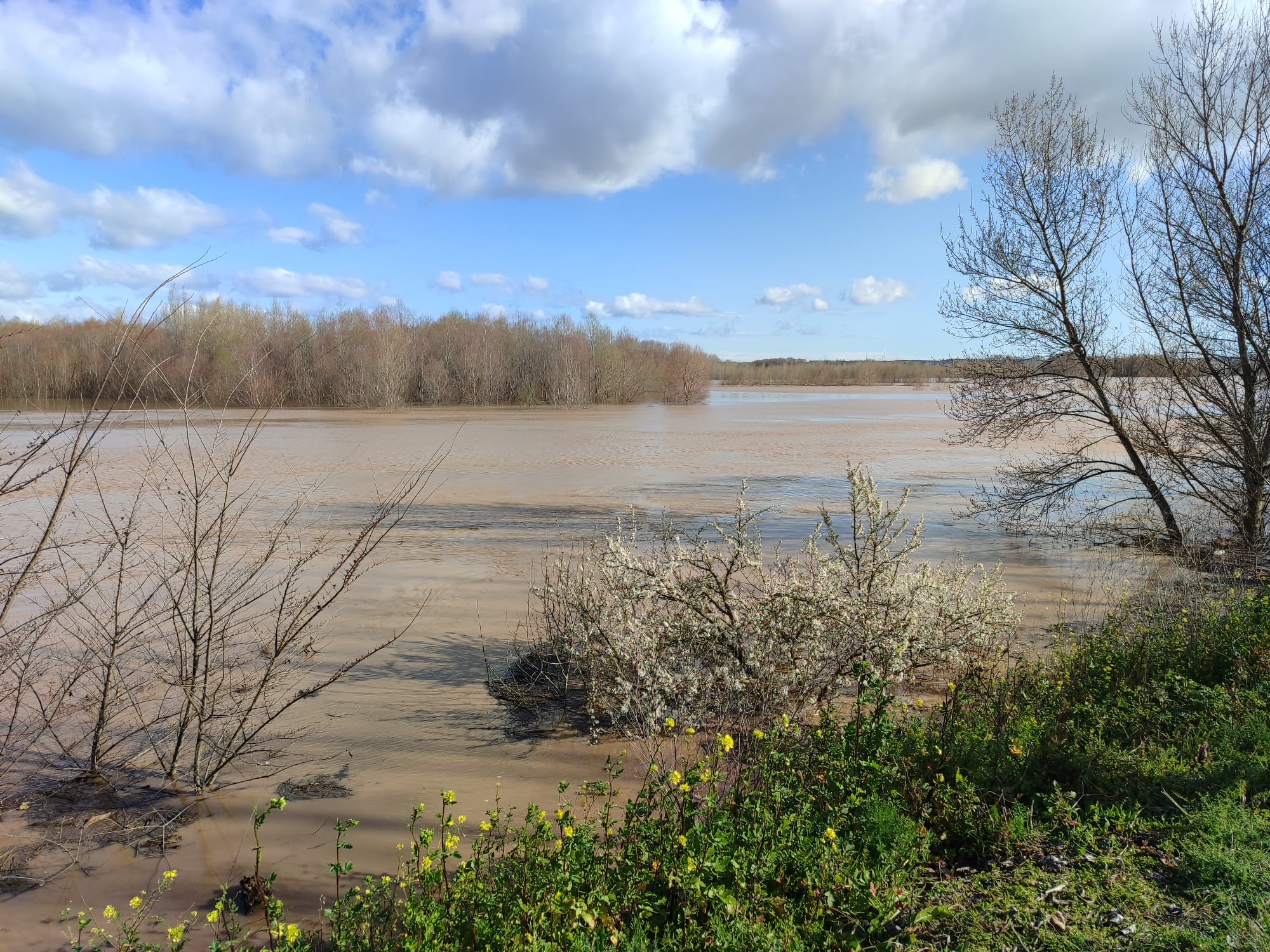 Crecida del Ebro a su paso por Alfaro