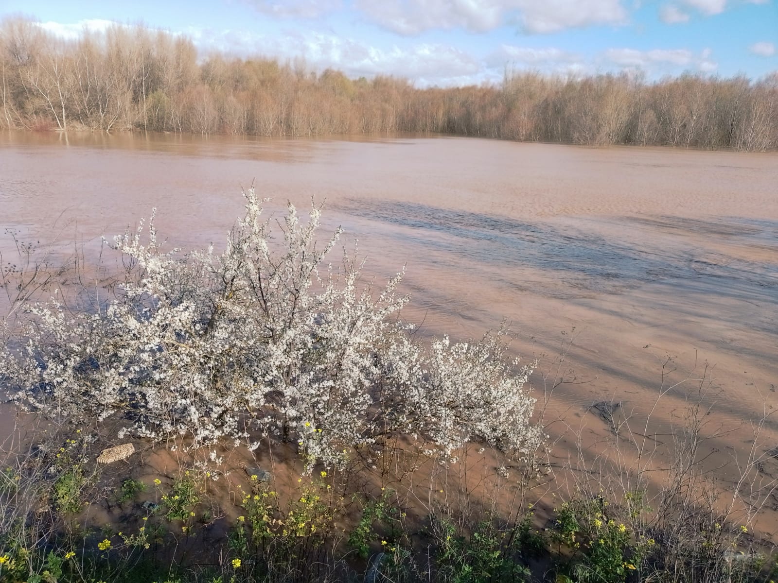 Crecida del Ebro a su paso por Alfaro