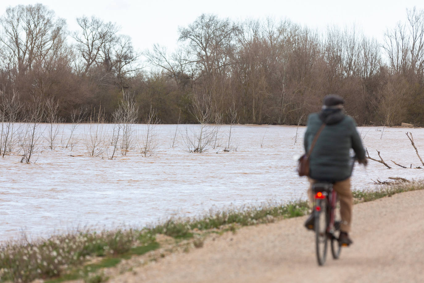 Así bajaba el Ebro por Alfaro