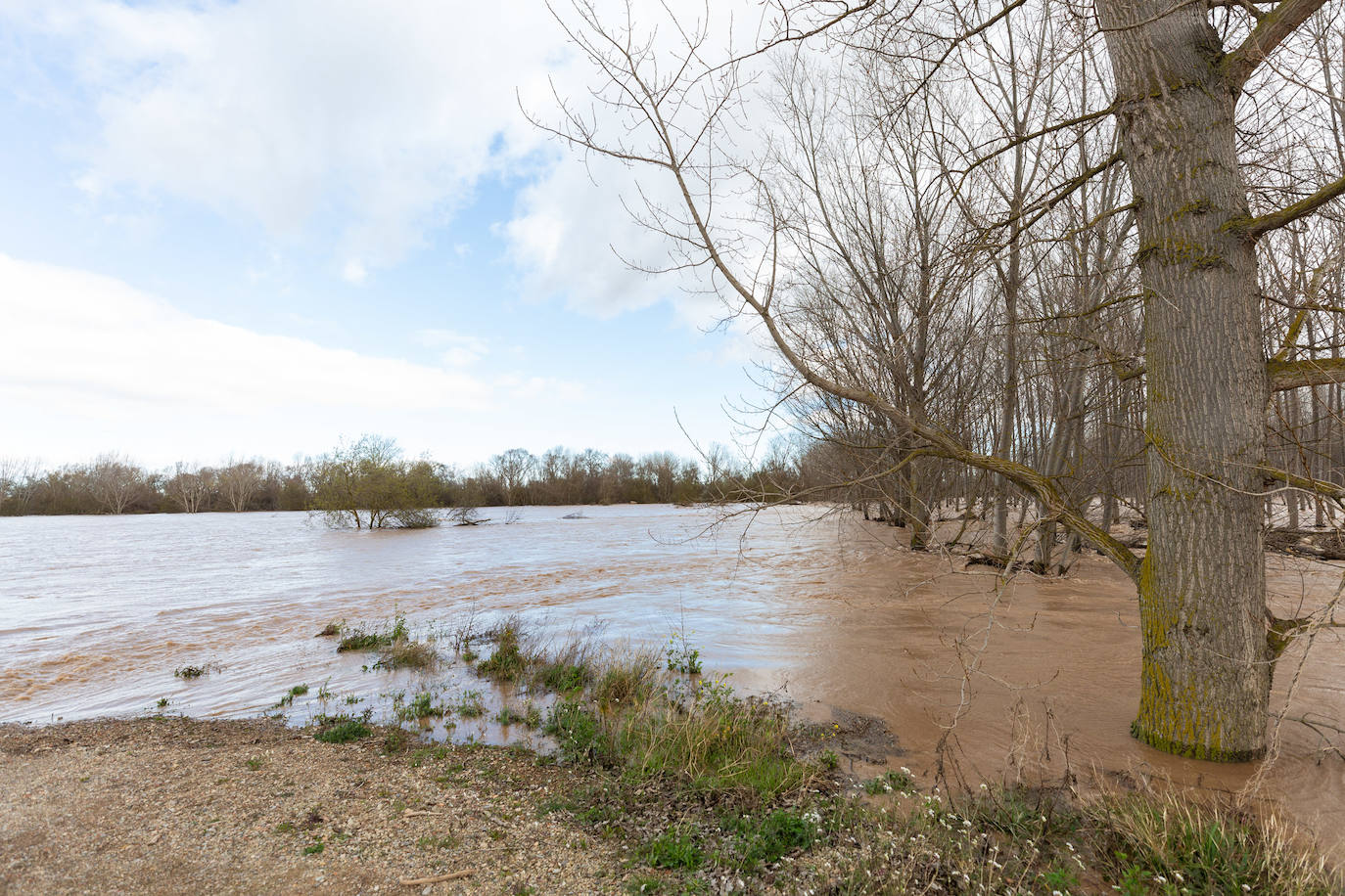 Así bajaba el Ebro por Alfaro