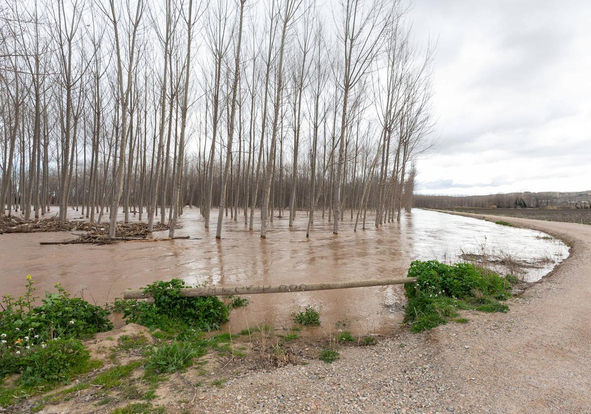 Así bajaba el Ebro por Alfaro