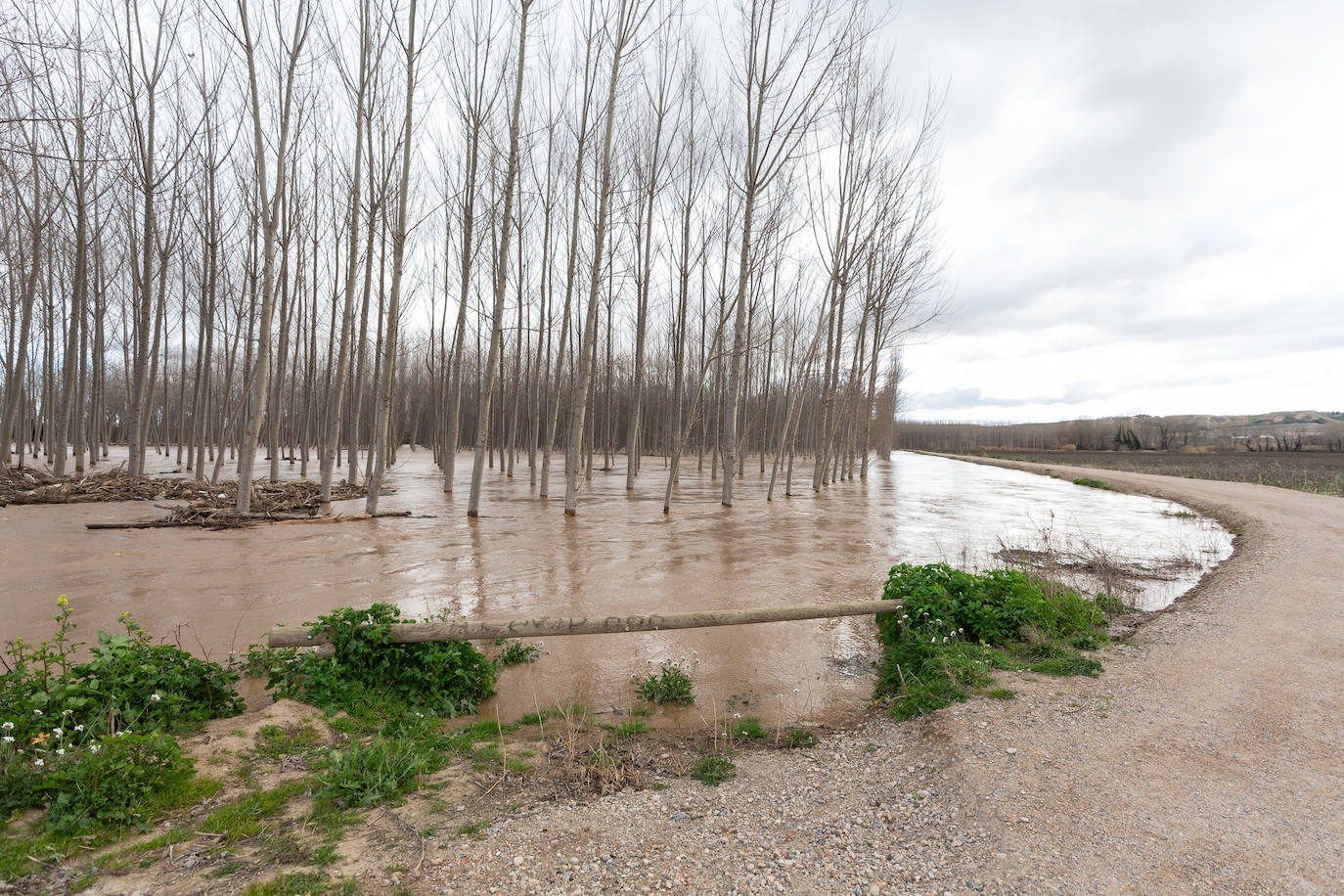 Así bajaba el Ebro por Alfaro