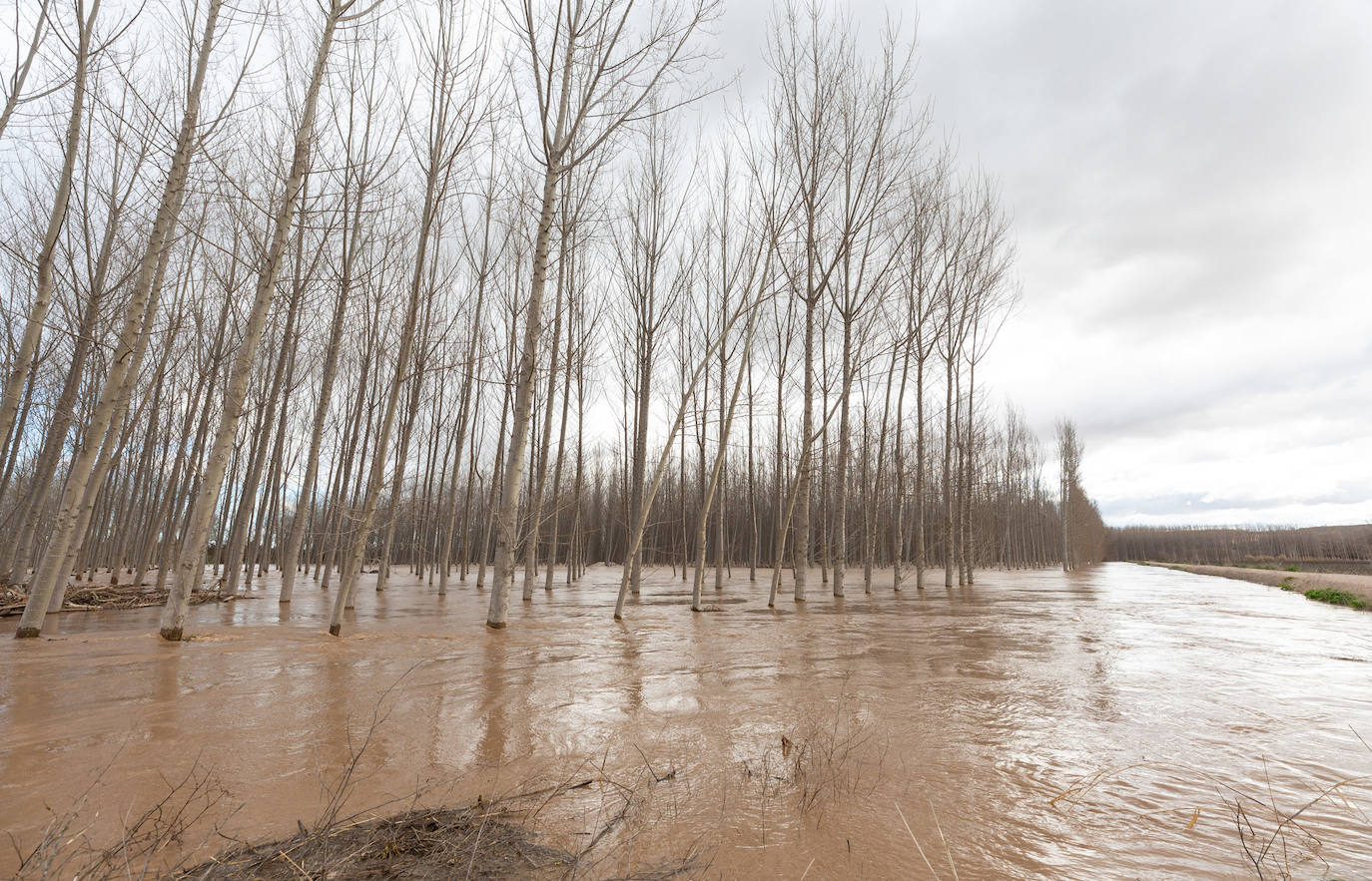 Así bajaba el Ebro por Alfaro