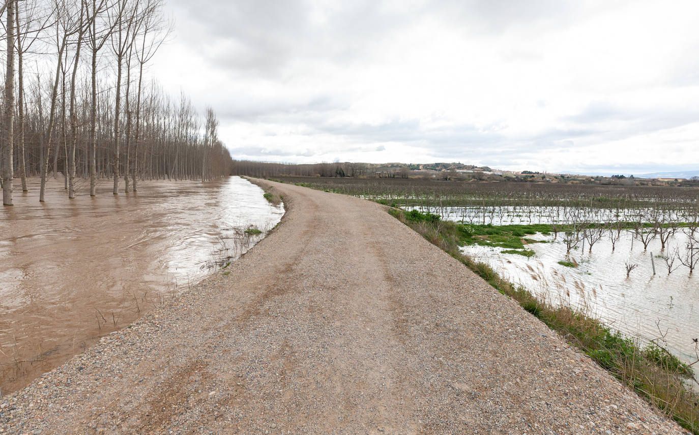 Así bajaba el Ebro por Alfaro