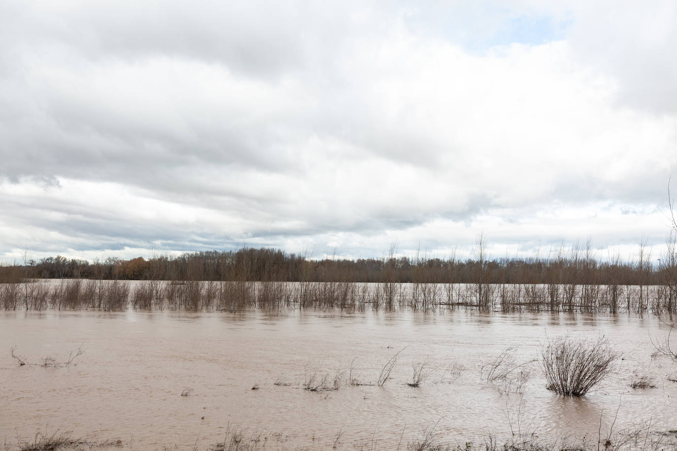 Así bajaba el Ebro por Alfaro