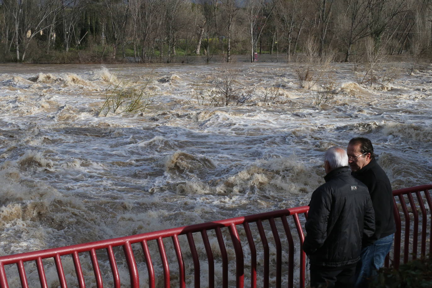 El Ebro alcanza a los 4,09 metros en Logroño