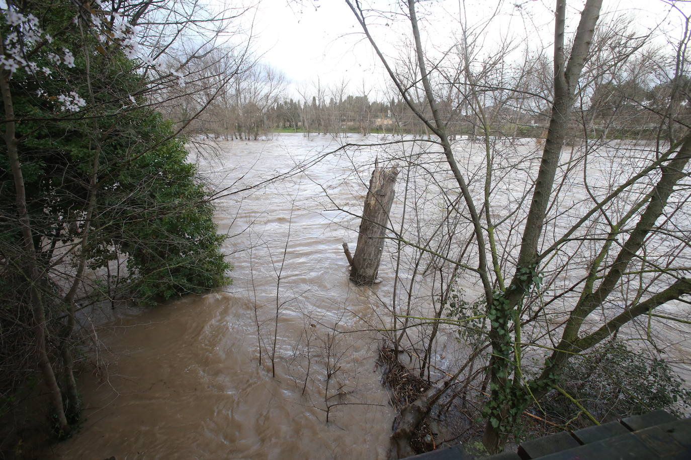 El Ebro alcanza a los 4,09 metros en Logroño