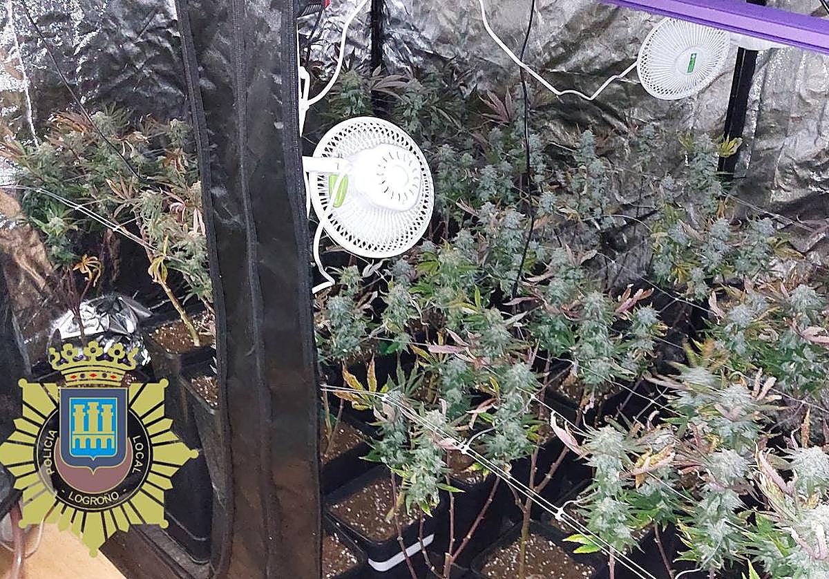 La Policía de Logroño denuncia a varias personas por tráfico de drogas