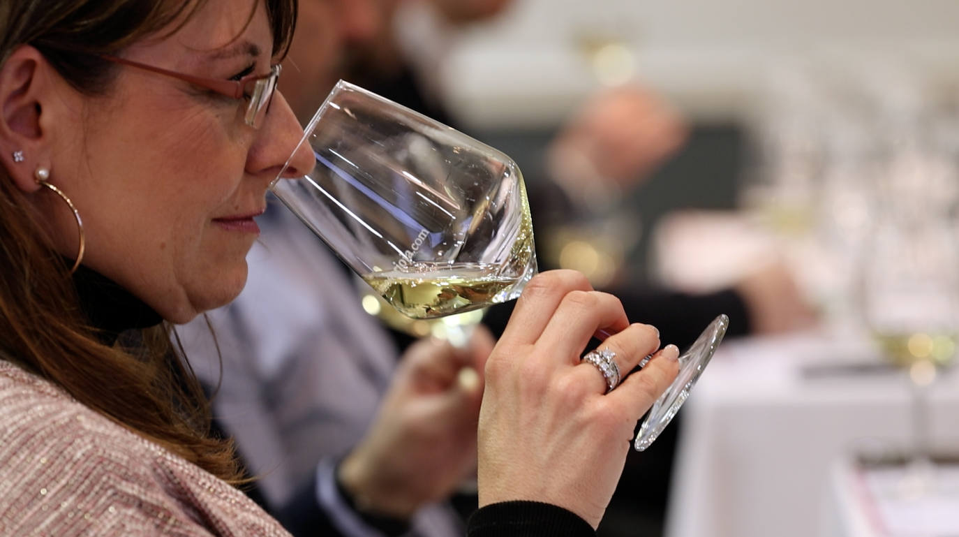 La cata de Bodegas Sínodo, en imágenes