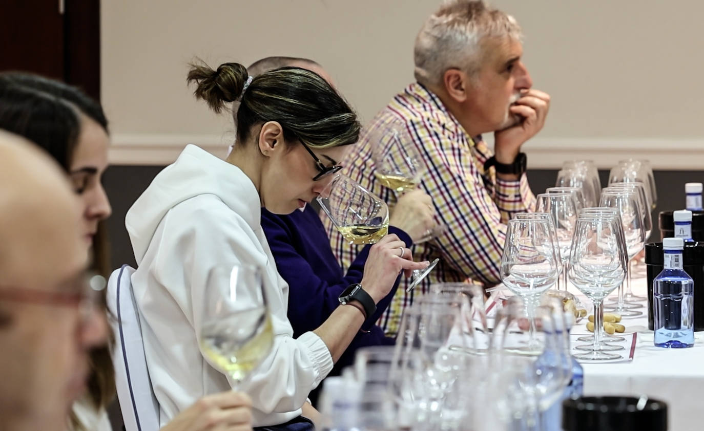 La cata de Bodegas Sínodo, en imágenes