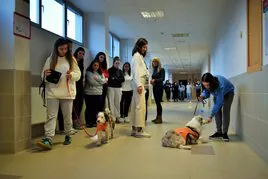 En el centro, Ana Rodríguez y Marta Nohora supervisando las prácticas con los perros de intervención Epi y Tirma en el edificio Politécnico de la Universidad de La Rioja.