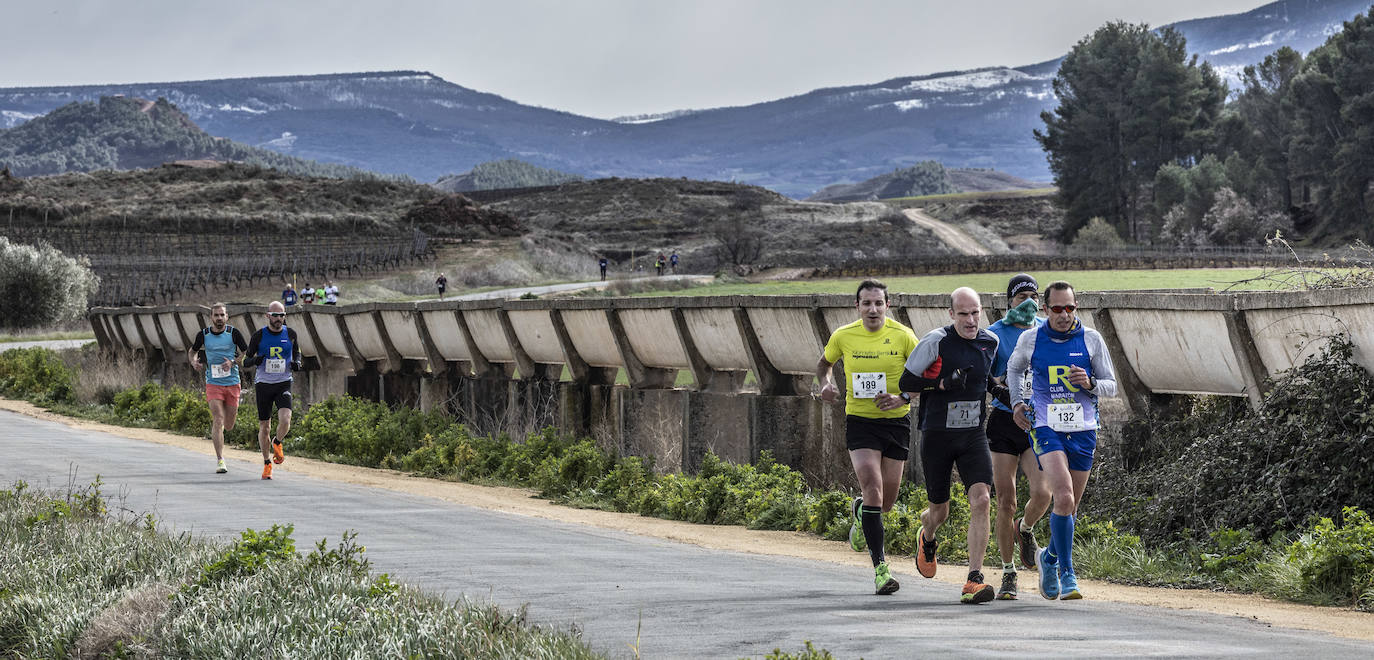 Las imágenes de la Media Maratón del Camino