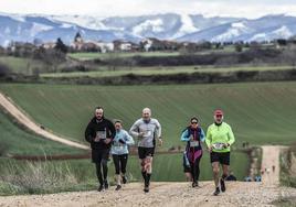 Las imágenes de la Media Maratón del Camino