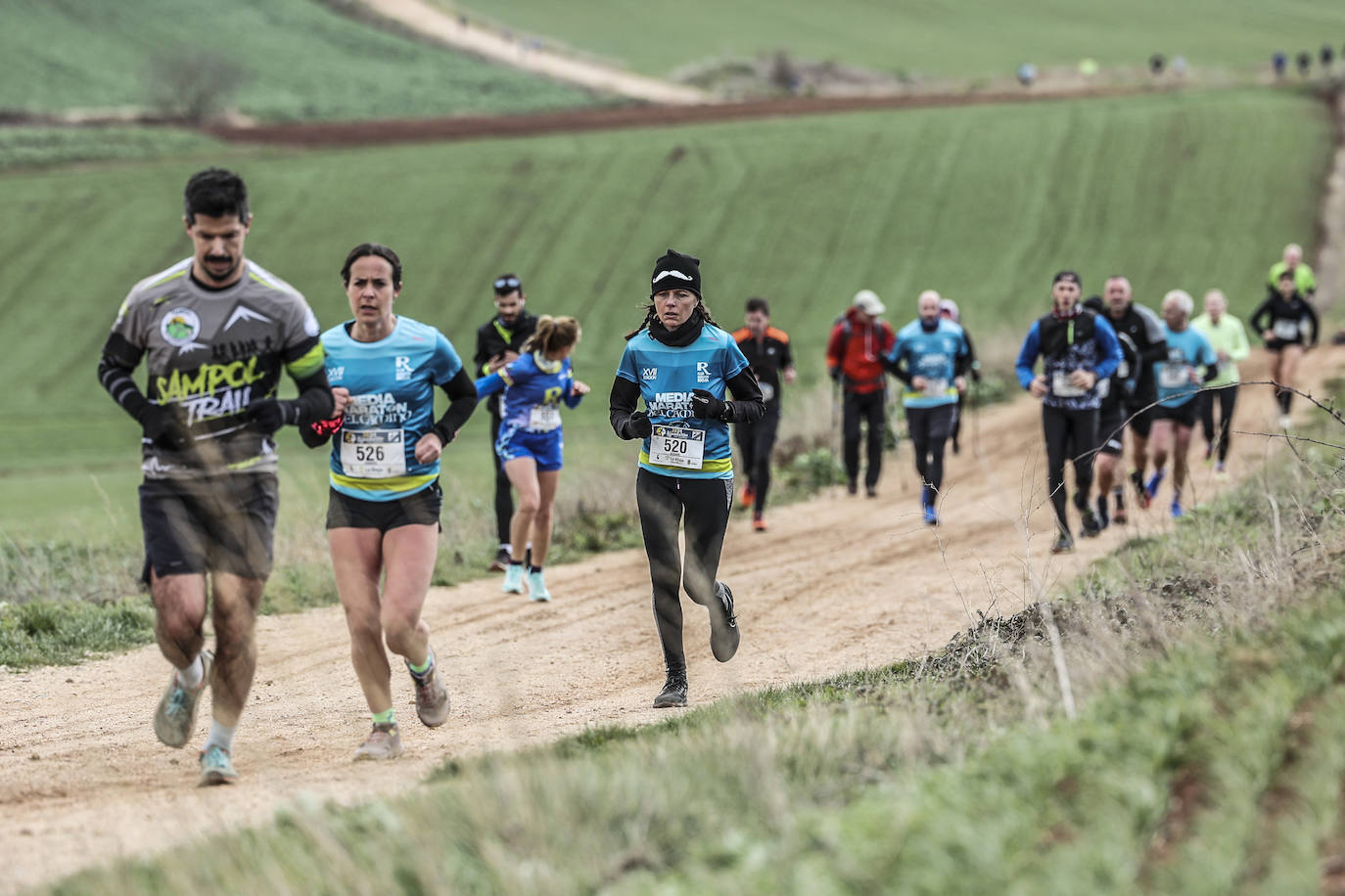 Las imágenes de la Media Maratón del Camino