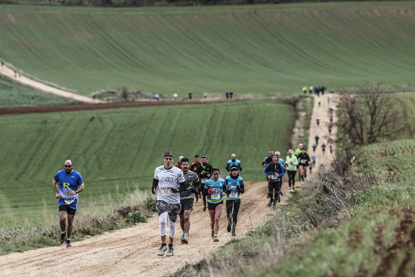 Las imágenes de la Media Maratón del Camino