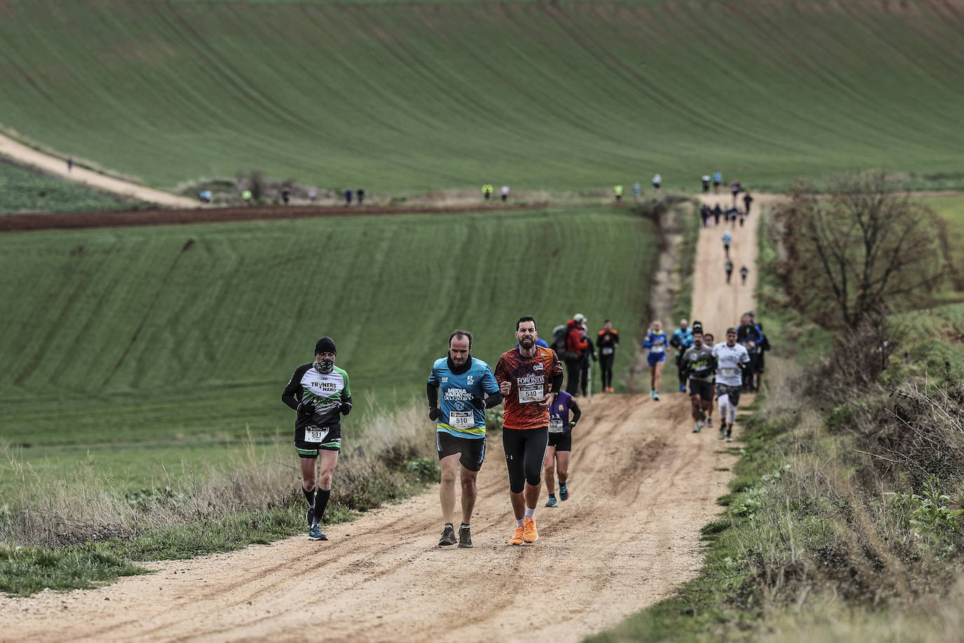 Las imágenes de la Media Maratón del Camino
