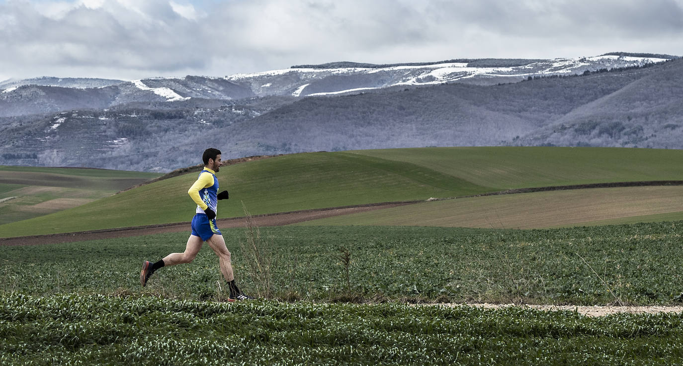 Las imágenes de la Media Maratón del Camino