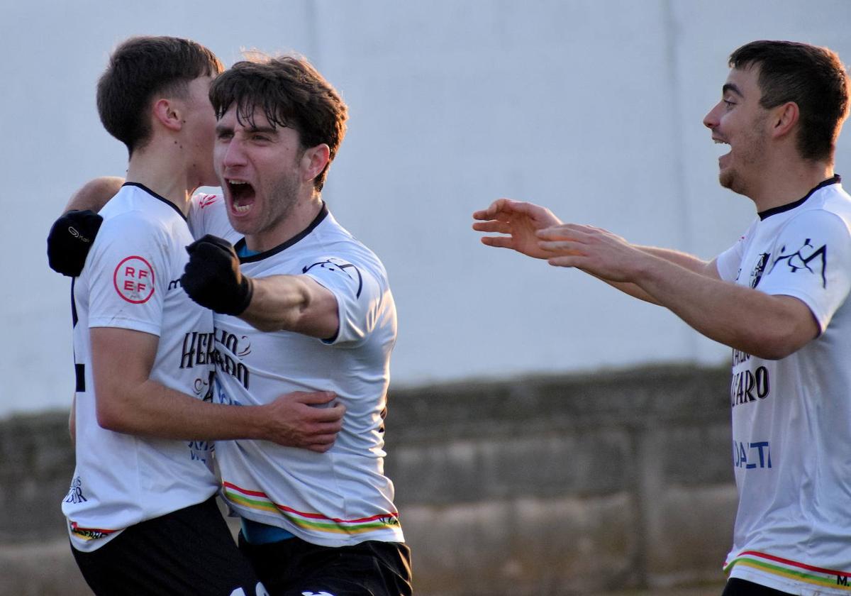 Jugadores del Alfaro, líder de la Tercera riojana, celebran un gol