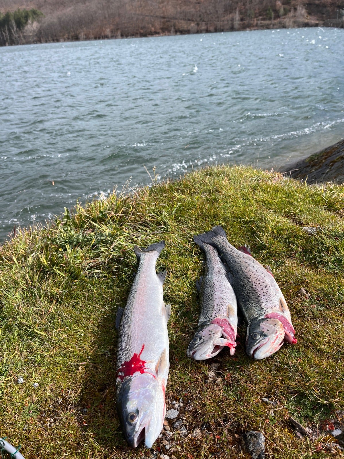 El inicio de la temporada de pesca en el embalse González Lacasa y la laguna de Tricio